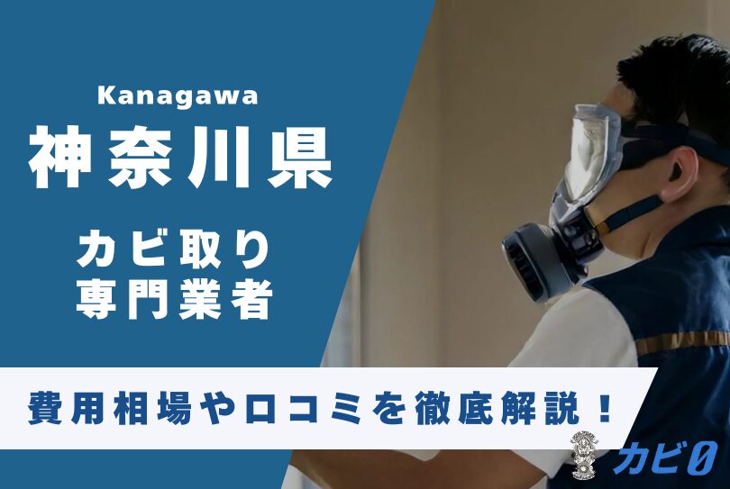 神奈川県でおすすめのカビ取り専門業者10選!費用相場や口コミを徹底解説