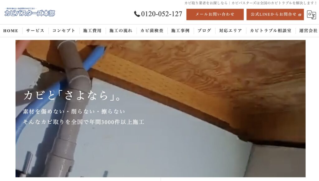 カビバスターズ